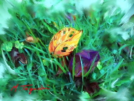 ��i34�D�H�ւQ